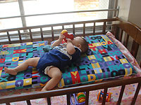 �V�Ɍ�������