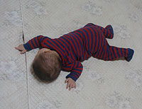 �˂������ĐQ��