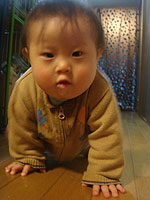 �͂��͂���